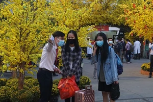 Về quê ăn tết, 'không mang ưu phiền về cho mẹ' 