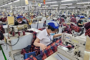 Người lao động đang làm việc tại một công ty may ở TP.HCM.
