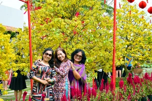 Đường hoa mai tại làng hoa Sa Đéc.