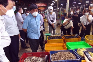 Cơ quan chức năng kiểm tra hoạt động kinh doanh thực phẩm tết tại chợ đầu mối Bình Điền (TP.HCM).