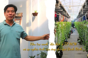 Khu nhà trọ xanh mát, sạch đẹp của ông chủ quê Bình Định tốt bụng.