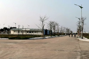 Khu đất dự án TP Hải Phòng thực hiện thu hồi sau khi doanh nghiệp xin trả lại đất.