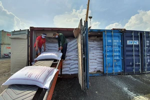 Công nhân đóng gạo vào container đưa đi xuất khẩu tại cảng Mỹ Thới (An Giang).