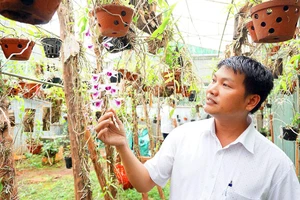 Anh Nguyễn Quốc Tư trở thành tỉ phú hoa lan và là cha đẻ của “thần dược” dịch chuối.