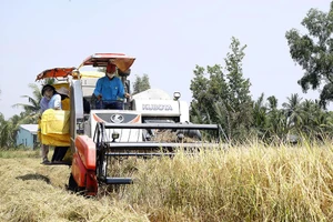 Các chuyên gia cho rằng cần phải có những sửa đổi, làm rõ, cụ thể hóa các quy định liên quan đến đất đai.