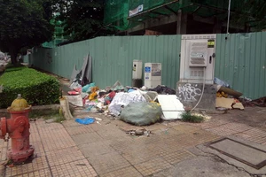 Bãi rác gần tủ điện gây nguy hiểm