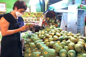 Việc tăng các loại trái cây được xuất khẩu chính ngạch là hướng đi bền vững của ngành hàng trái cây Việt Nam.