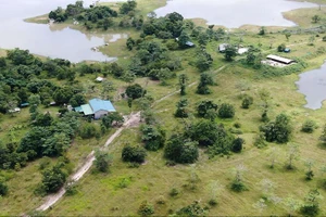 Trang trại bò của gia đình cựu bí thư Tỉnh ủy Đắk Lắk trong Khu bảo tồn thiên nhiên Ea Sô.