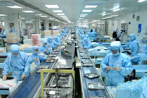 Hoạt động sản xuất tại một công ty trong Khu Chế xuất Tân Thuận, quận 7, TP.HCM.