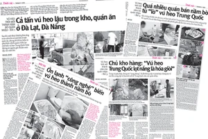 Những bài báo được đăng tải trong tuần về tình trạng vú heo trôi nổi thành nầm bò quán nhậu của Pháp Luật TP.HCM.