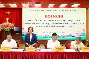 Phó Trưởng đoàn chuyên trách Đoàn đại biểu Quốc hội TP Hà Nội Phạm Thị Thanh Mai kết luận hội nghị.
