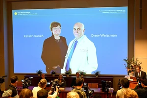 Lễ công bố giải thưởng Nobel Y học 2023 hôm 2-10, vinh danh hai nhà khoa học là GS Drew Weissman (Mỹ) và GS Katalin Karikó (Hungary).