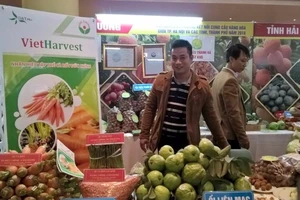 Hà Nội là thị trường bán lẻ nổi bật của thế giới