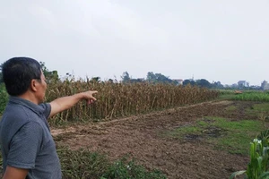 Hà Nội đồng ý chuyển 2.250 ngôi mộ vào khu dân cư