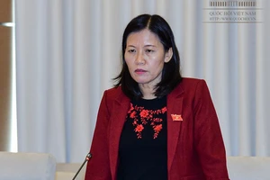 Cử người không phụ trách nên không giải trình được