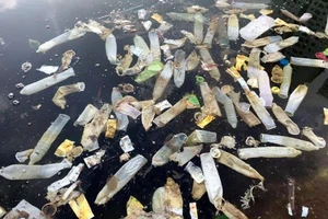 Công an kiểm tra vụ bao cao su lềnh bềnh mặt Hồ Tây