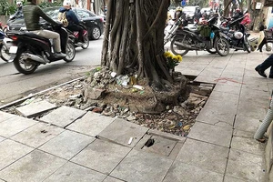 Sai phạm lát đá vỉa hè: Hàng loạt cán bộ bị xử lý