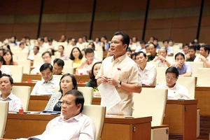 Quốc hội tranh luận về vụ xử BS Hoàng Công Lương