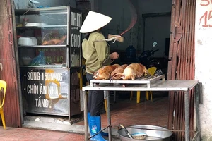 Hà Nội tiếp tục đốc thúc siết việc giết mổ chó, mèo