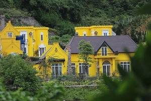 Sóc Sơn đang kiểm điểm cán bộ liên quan vụ 'xẻ thịt rừng'