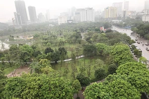 Dân phản đối xén công viên làm bãi đỗ xe ngầm