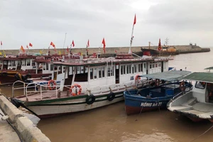 Năm 2019 ít bão, hạn hán gay gắt hơn