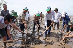 Bộ TN&MT phát động trồng rừng chống xâm nhập mặn tại Bạc Liêu