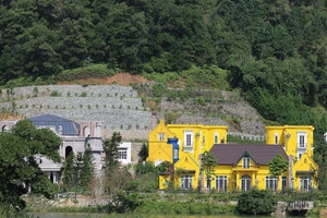 Vụ rừng Sóc Sơn: Hàng chục cán bộ dính án kỷ luật