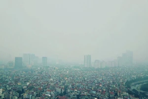 Bộ Tư pháp lên tiếng về dùng số liệu cũ trong báo cáo gửi QH