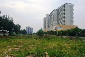 Bộ TN&MT nói về việc người Trung Quốc thâu tóm đất trọng yếu