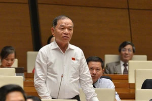 ĐBQH Lê Thanh Vân (Cà Mau). Ảnh: TP