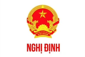 Phó Thủ tướng: Cần thận trọng khi xây dựng nghị định về hoạt động lấn biển