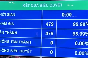 Quốc hội thông qua Nghị quyết về kế hoạch tài chính và trả nợ công
