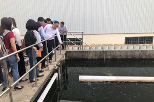 Bộ TN&MT lên tiếng trước lo lắng của DN về 'tăng chi phí, thêm thủ tục'