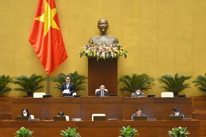 ĐBQH băn khoăn với quy định tước danh hiệu Mẹ Việt Nam Anh hùng