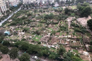 Hai bộ ra kế hoạch thanh tra diện rộng về đất đai, xây dựng