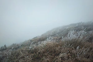 Bắc và Bắc Trung Bộ rơi vào đợt lạnh khắc nghiệt nhất mùa Xuân