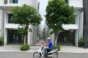 Hà Nội quy định không được trồng cây xanh đường phố chính diện nhà dân, trụ sở cơ quan 