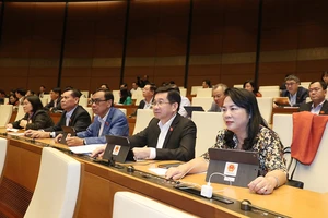 ĐBQH bấm nút biểu quyết