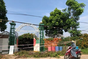 Hà Nội: Xử lý vườn sinh thái xây dựng trái phép 