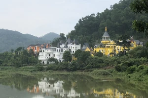 Rừng Sóc Sơn vẫn bị 'xẻ thịt' sau 4 năm có kết luận thanh tra