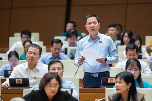 Đại biểu tranh luận về quan điểm 'xử lý dư luận' phim Đất rừng Phương Nam 