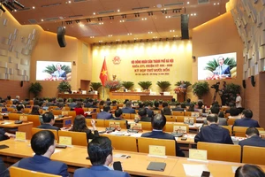 Dự án Công viên Đống Đa 'đắp chiếu' 20 năm, lòng vòng trách nhiệm sở và quận 