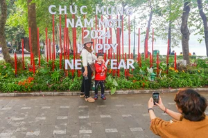 Quận Hoàn Kiếm chỉnh trang lại nhiều vườn hoa chào đón năm mới 2024