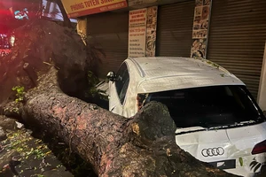 Mưa đá, giông lốc tại Hà Nội khiến hơn 70 cây xanh bật gốc