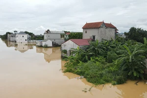 Hà Nội: Mưa lũ tràn đê, nhà cửa bị ngập, người dân chạy lũ 