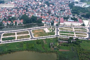 Đang kiểm tra dấu hiệu bất thường trong đấu giá đất ở ngoại thành Hà Nội