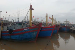 Bão số 3: Nam Định và Thái Bình cấm biển từ sáng mai