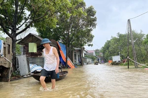 Hà Nội: Hơn 30.000 người sơ tán do lũ chưa được về nhà