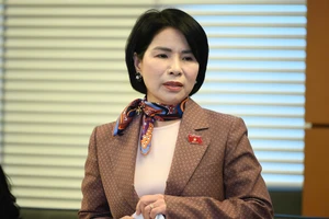 Các đại biểu nói về sự cần thiết lập hai ủy ban mới của Quốc hội